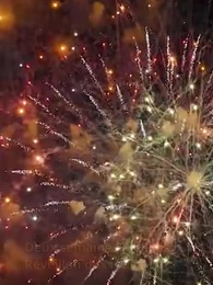 Épisode 42 - Lorsque Le Printemps Éclora