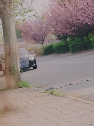 第24集 - 遊子歸鄉