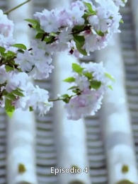 Fénix del destino - Episode 4