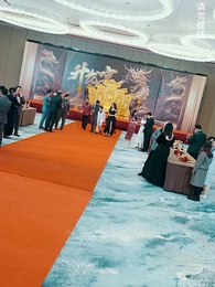 第56集 - 龍行天下被兒欺