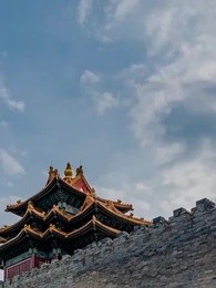 65화 - 내 용감한 아내