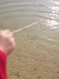 أبـي التنين الخفي يهزّ أركان الكون - Episode 2