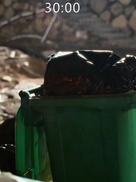 Episódio 14 - Quando A Primavera Floresce