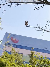 Amore Bruciato, Cuore Vuoto - Episode 1