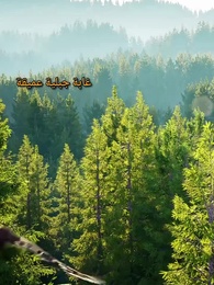 الحلقة 1 - أبـي التنين الخفي يهزّ أركان الكون
