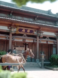 滅びの誓い - Episode 14