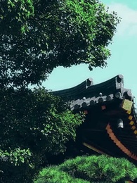 Episodio 42 - Amore sotto i fiori