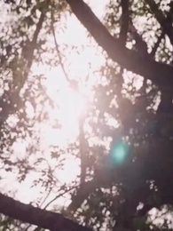 Amore sotto i fiori - Episode 73