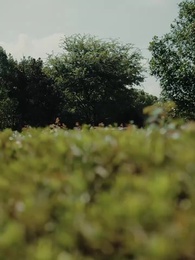 Love Found Us Again - Episode 43