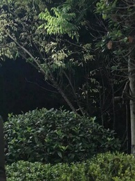 ปฏิบัติการมัดใจคุณภาคิน - Episode 95