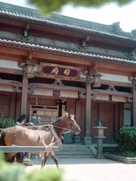 Caída Divina: El Error del Protector - Episode 14