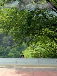 21화 - 신부전쟁