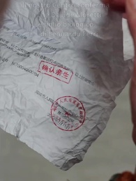 Episodio 21 - [Doppiato]L'Incontro Destinato