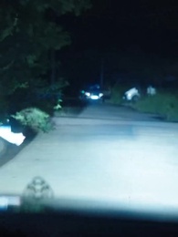 第13集 - 愛若星星長明