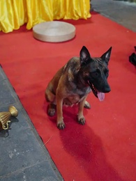 天地傳說之龍神尋妻 - Episode 43