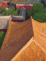 Episode 49 - [Dubbed] My Unborn Protectors