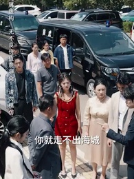 第19集 - 未婚夫搶我車位，我直接退婚