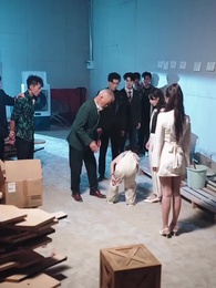 萌寶來自未來：爹地請接招 - Episode 12