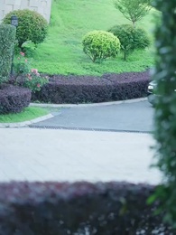 Episodio 19 - Amor Entre las Cenizas