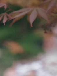 무예로 핀 꽃 - Episode 46