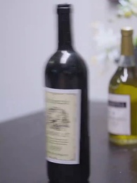 第4集 - 騰籠驚雀