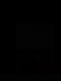 Episodio 39 - Fenici in Volo