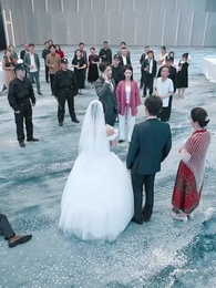 Bölüm 19 - Anka'nın Dönüşü