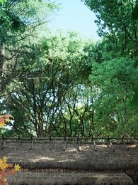 你是狀元但你爹是王爺2 - Episode 1