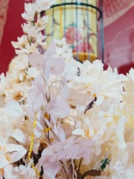 Tập 6 - Ngóng Rồng