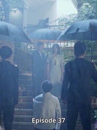 Episode 37 - [Dubbed]Never Meeting You After the Rain