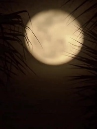 Aku Menikah Gantikan Adikku - Episode 10