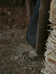 Les Rêves Enlacés - Episode 32