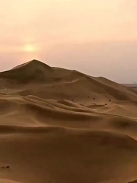 Episode 14 - If Leaving Me Was Your Wish