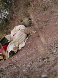 Épisode 48 - Les Rêves Enlacés