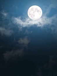 Aku Menikah Gantikan Adikku - Episode 12