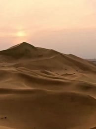 今世もう将軍を愛さない - Episode 14