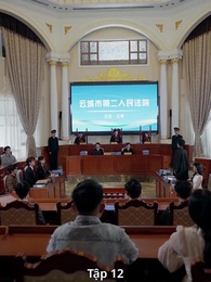 Tập 12 - Hoa Lê Không Cùng Mộng