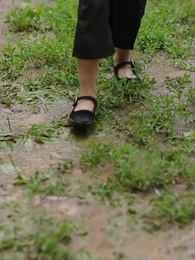 第27集 - 遺失的珍寶