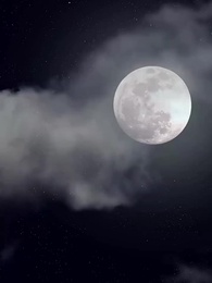 مؤامرة تاج فينيكس - Episode 16