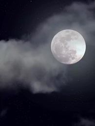 16화 - 황후의 계략