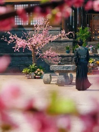 她修仙的，你惹她幹嘛 - Episode 11