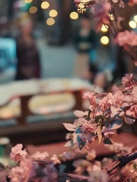 第41集 - 她修仙的，你惹她幹嘛