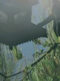 Agradecendo por Seu Engano Juvenil - Episode 56