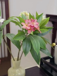 La Venganza de la Heredera - Episode 17