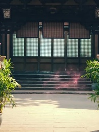 第38集 - 她修仙的，你惹她幹嘛