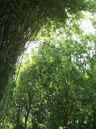 حلم الحب في القصر الإمبراطوري - Episode 54