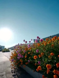 Episode 32 - Eye for an Eye