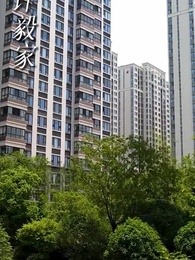 第16集 - 若妳待我如初見