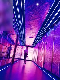 Episodio 44 - Le Catene Champagne