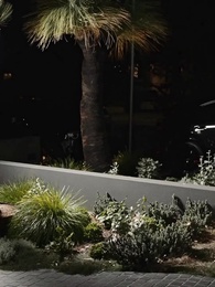 ตอนที่ 45 - หย่าร้างเพื่อเป็นทายาทอันดับต้น